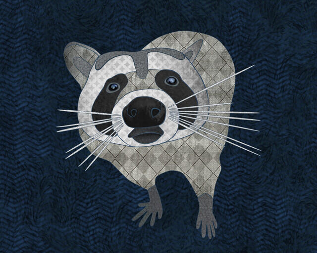 Racoon, by Janet C.